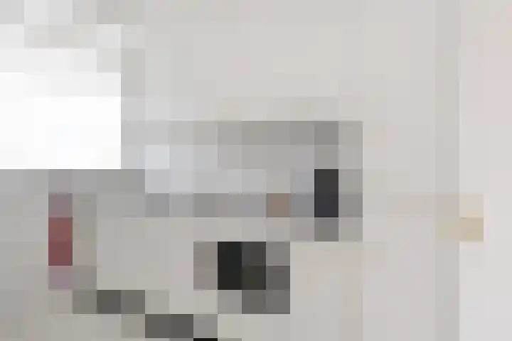 Dreef 60 Gouda thumbnail 17