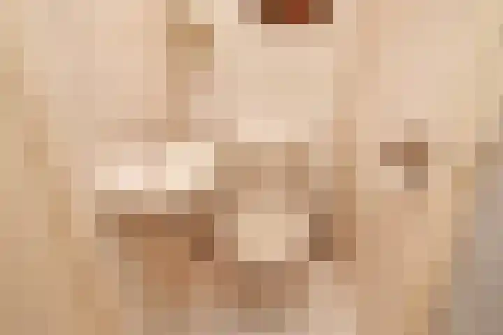 Dreef 60 Gouda thumbnail 19