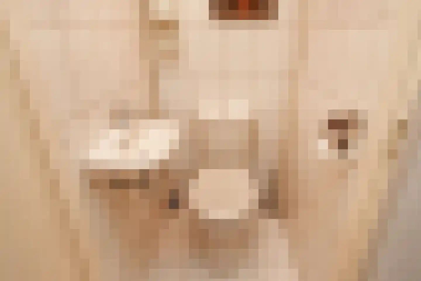 Dreef 60 Gouda thumbnail 19