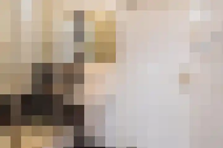 Dreef 60 Gouda thumbnail 20