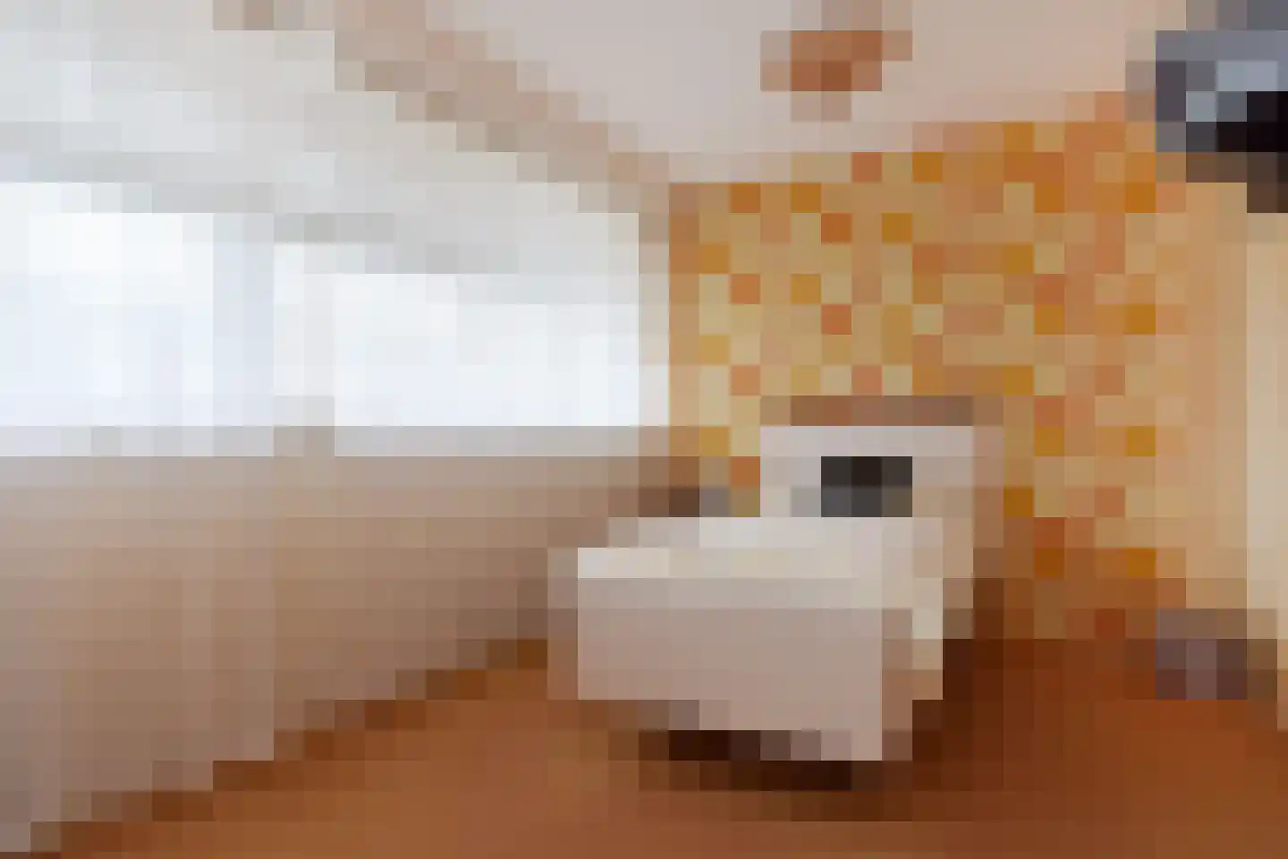 Dreef 60 Gouda thumbnail 22