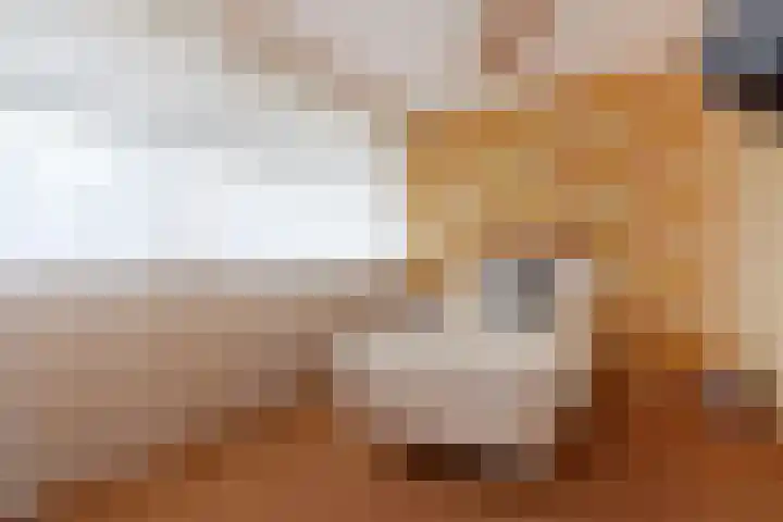 Dreef 60 Gouda thumbnail 22