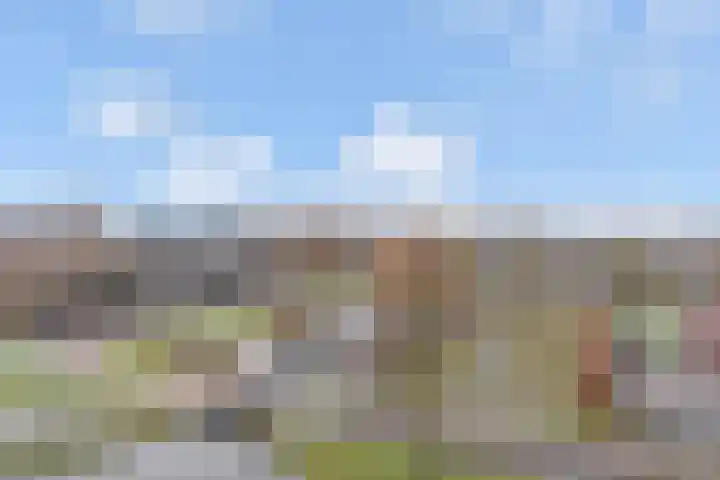 Dreef 60 Gouda thumbnail 26