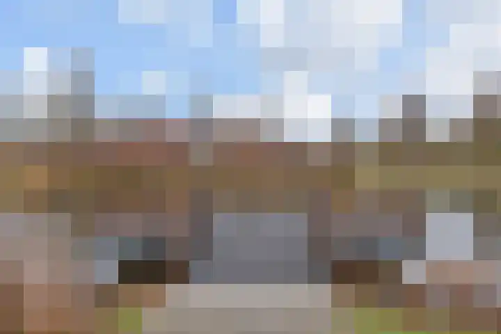 Dreef 60 Gouda thumbnail 30