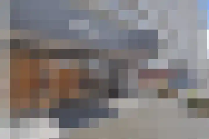 Dreef 60 Gouda thumbnail 5