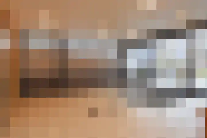 Dreef 60 Gouda thumbnail 6