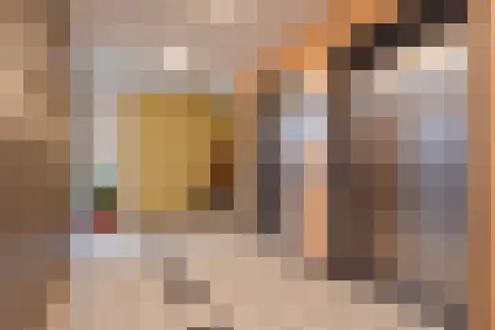 Dreef 60 Gouda thumbnail 7