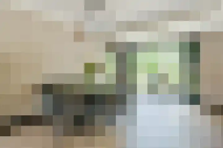 Dreef 62 Vroomshoop thumbnail 10