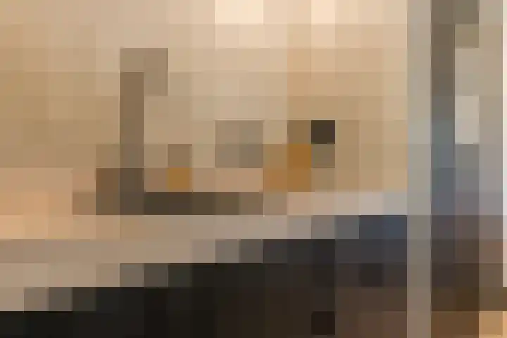 Dreef 62 Vroomshoop thumbnail 12