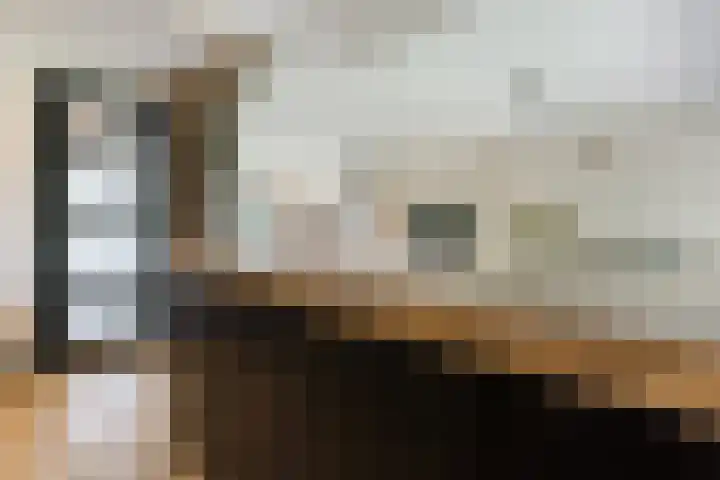 Dreef 62 Vroomshoop thumbnail 13