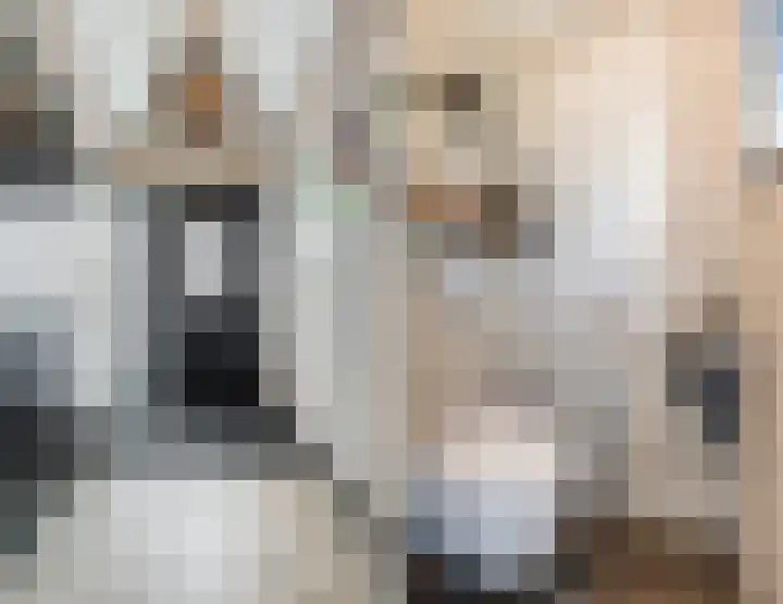 Dreef 62 Vroomshoop thumbnail 16