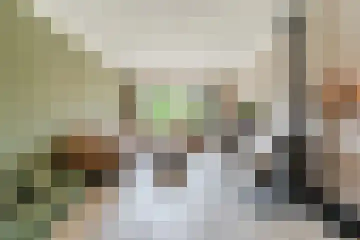 Dreef 62 Vroomshoop foto 2
