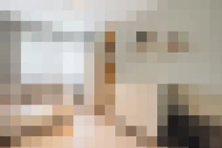 Dreef 62 Vroomshoop thumbnail 22