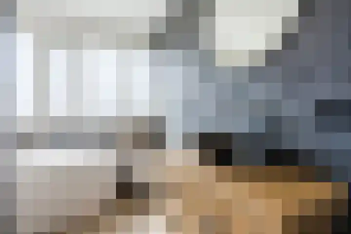 Dreef 62 Vroomshoop thumbnail 24