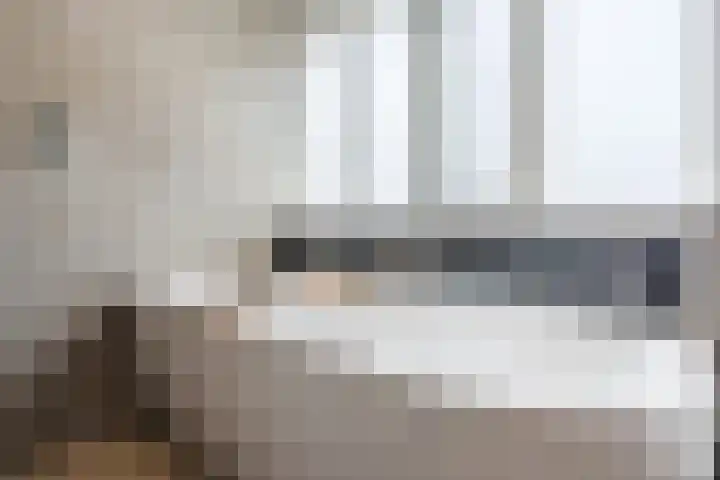 Dreef 62 Vroomshoop thumbnail 25