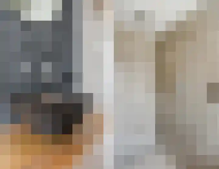 Dreef 62 Vroomshoop thumbnail 26