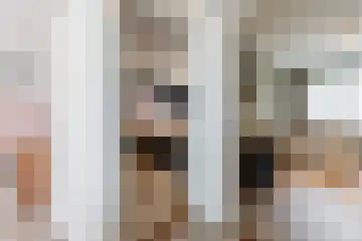 Dreef 62 Vroomshoop thumbnail 27