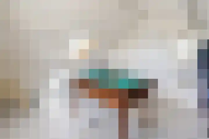 Dreef 62 Vroomshoop thumbnail 30