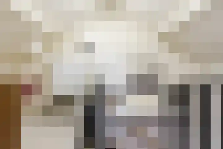 Dreef 62 Vroomshoop thumbnail 31