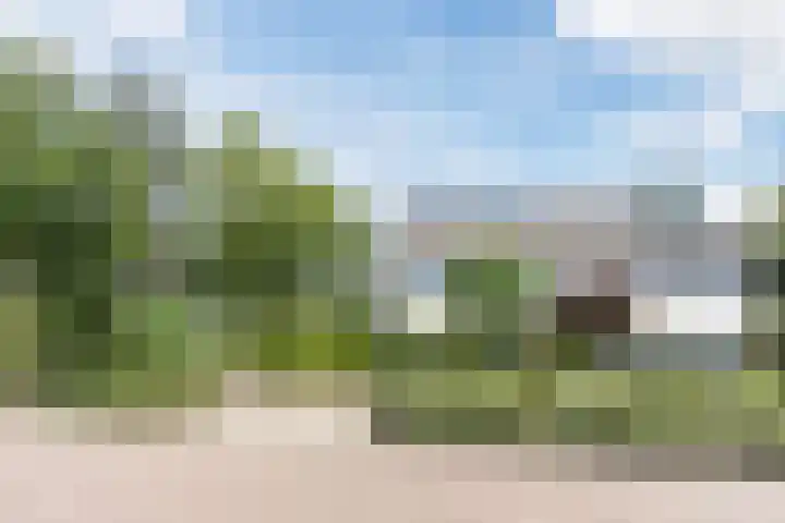 Dreef 62 Vroomshoop thumbnail 34
