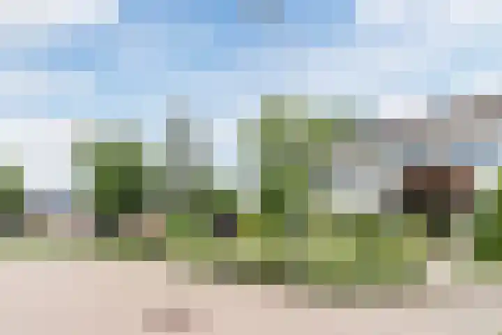 Dreef 62 Vroomshoop thumbnail 35