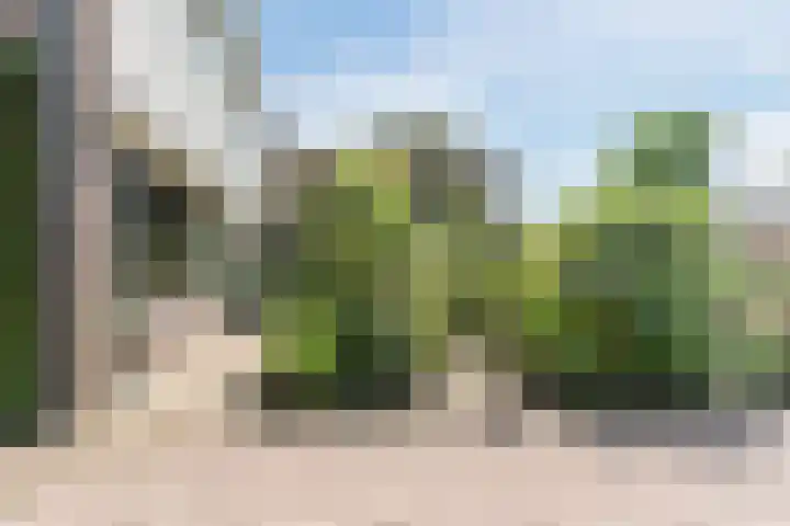 Dreef 62 Vroomshoop thumbnail 37