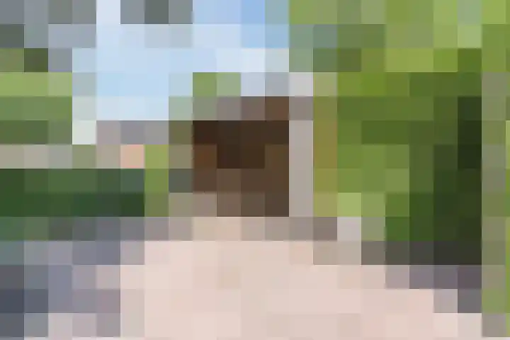 Dreef 62 Vroomshoop thumbnail 38