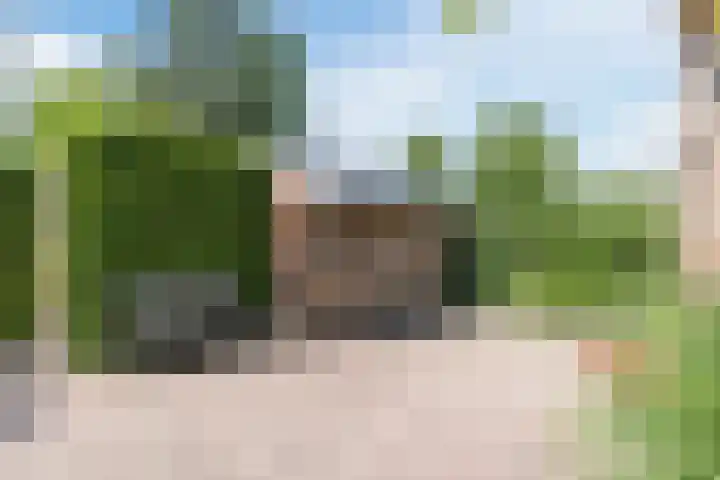 Dreef 62 Vroomshoop thumbnail 39
