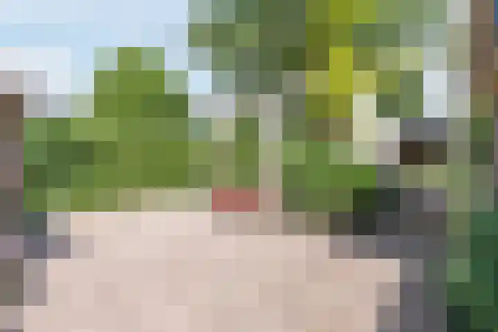 Dreef 62 Vroomshoop thumbnail 40