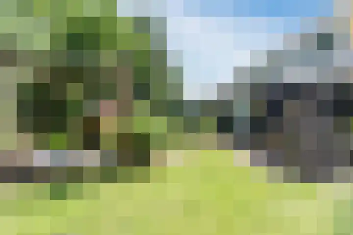 Dreef 62 Vroomshoop thumbnail 41