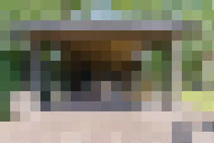 Dreef 62 Vroomshoop thumbnail 43