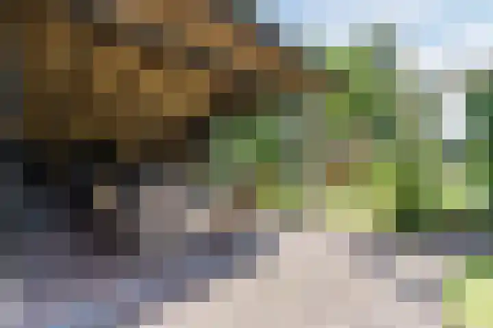 Dreef 62 Vroomshoop thumbnail 44