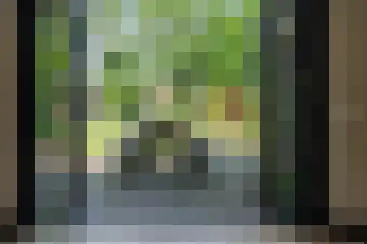 Dreef 62 Vroomshoop thumbnail 45