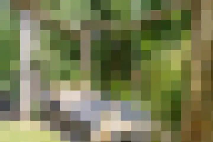 Dreef 62 Vroomshoop thumbnail 48