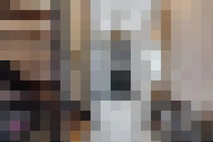 Dreef 62 Vroomshoop thumbnail 5