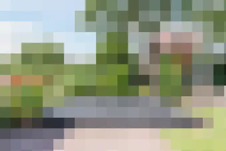 Dreef 62 Vroomshoop thumbnail 50
