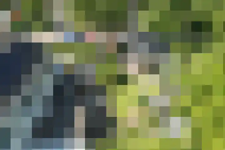 Dreef 62 Vroomshoop thumbnail 51