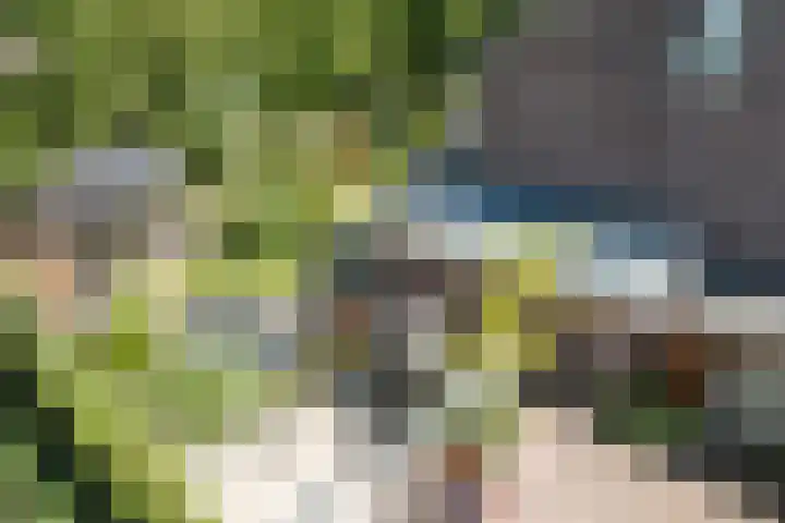 Dreef 62 Vroomshoop thumbnail 52