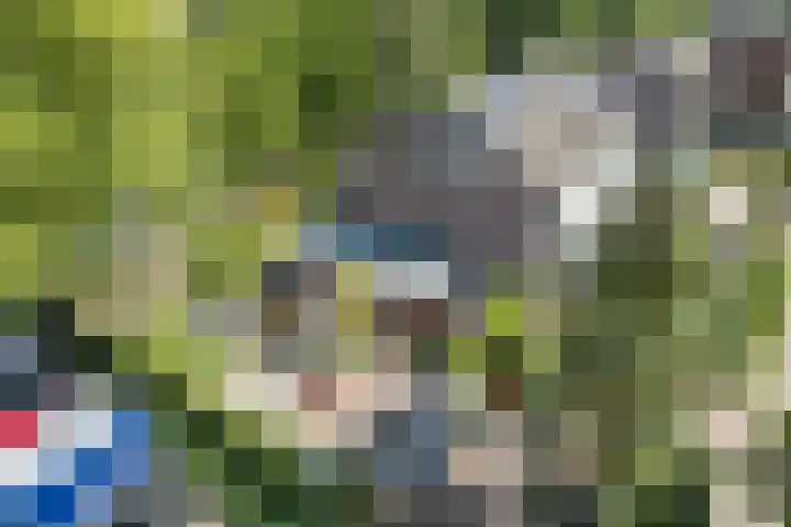 Dreef 62 Vroomshoop thumbnail 53