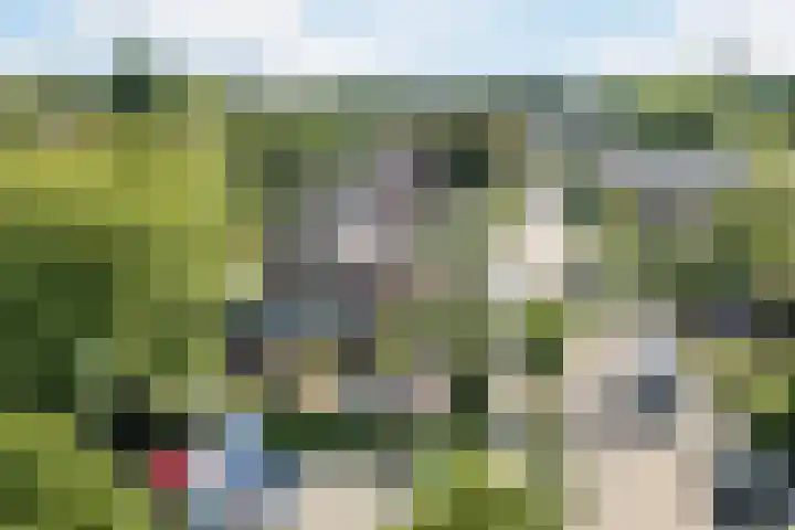 Dreef 62 Vroomshoop thumbnail 54