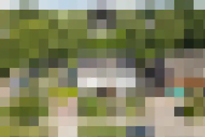 Dreef 62 Vroomshoop thumbnail 56