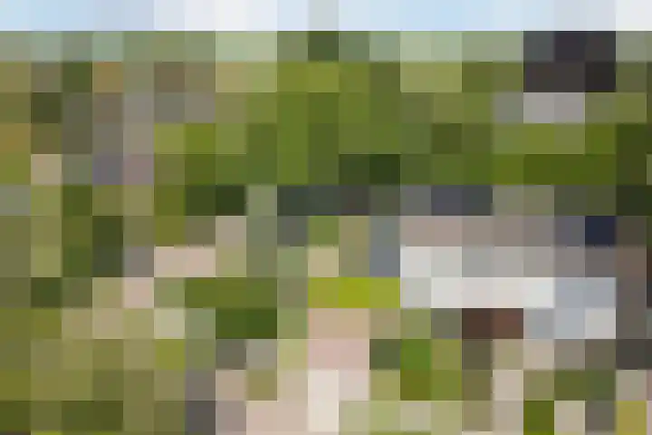 Dreef 62 Vroomshoop thumbnail 57