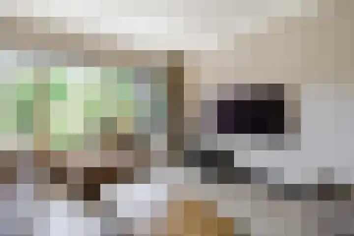 Dreef 62 Vroomshoop thumbnail 6