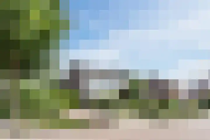 Dreef 62 Vroomshoop thumbnail 66