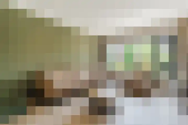 Dreef 62 Vroomshoop thumbnail 7