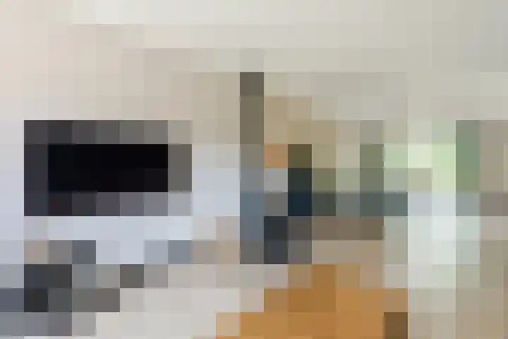 Dreef 62 Vroomshoop thumbnail 8