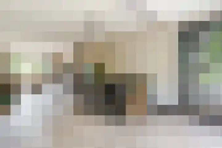 Dreef 62 Vroomshoop thumbnail 9