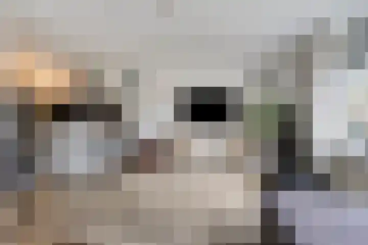 Dreef 68 Biddinghuizen thumbnail 11