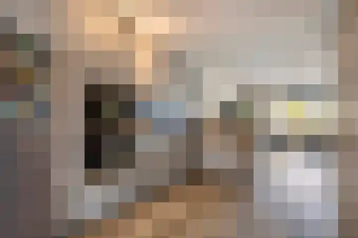 Dreef 68 Biddinghuizen thumbnail 13