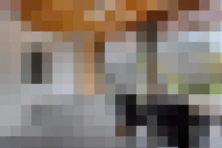 Dreef 68 Biddinghuizen thumbnail 18
